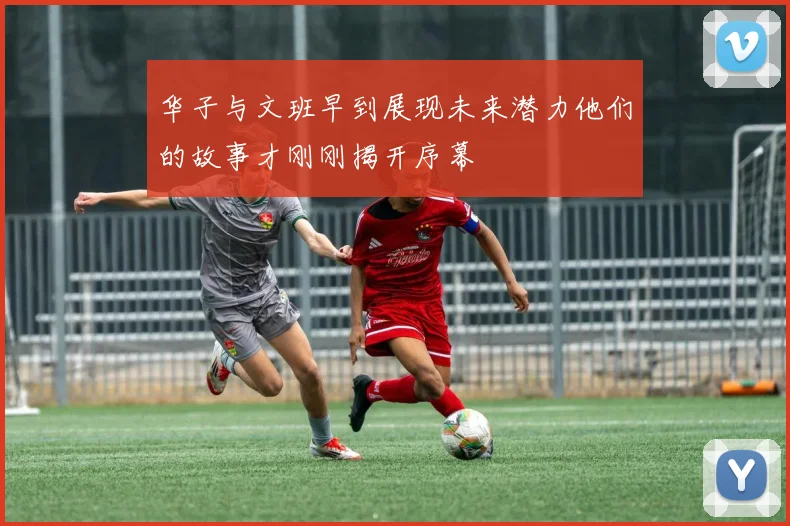 华子与文班早到展现未来潜力他们的故事才刚刚揭开序幕